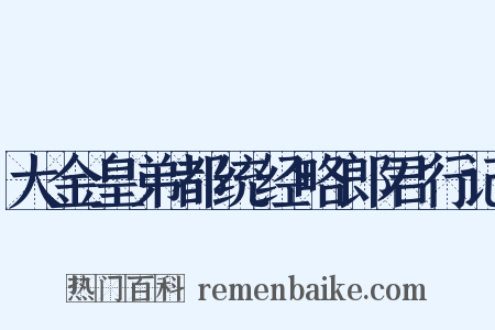 大金皇弟都统经略郎君行记是什么意思的图片